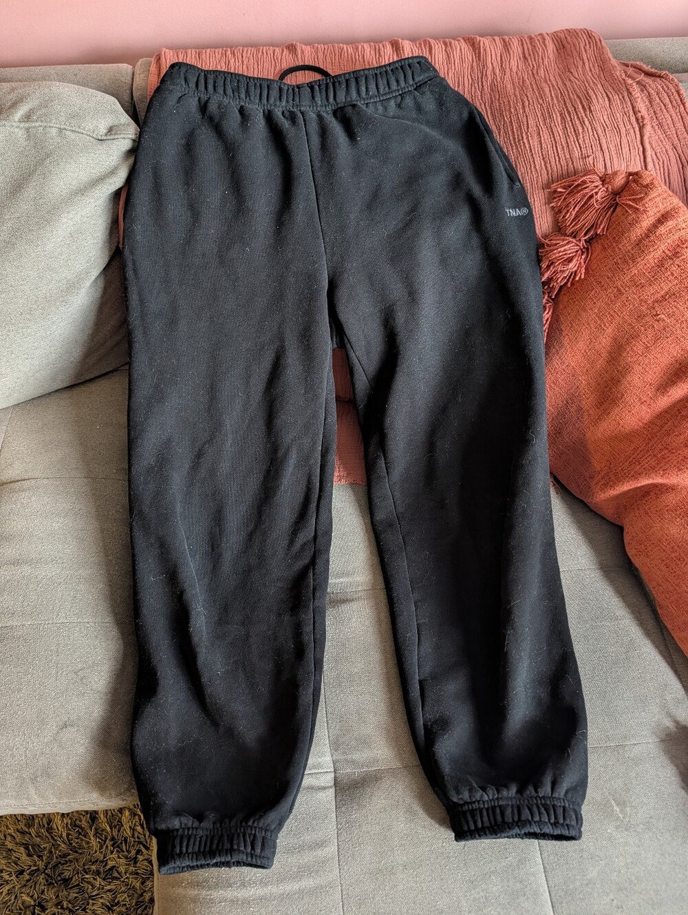 TNA Aritzia cozy Fleece Joggers